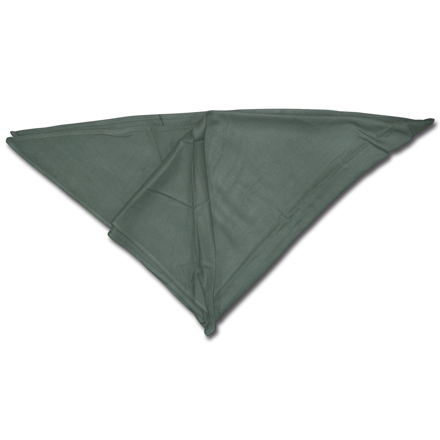 Bufanda triangular del ejército alemán, nueva