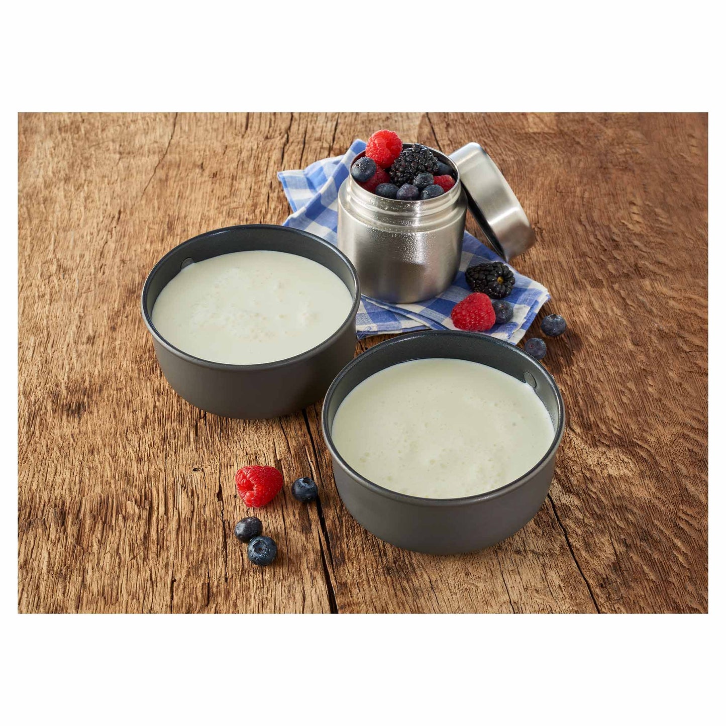 Trek'N Eat Whole Milk Powder