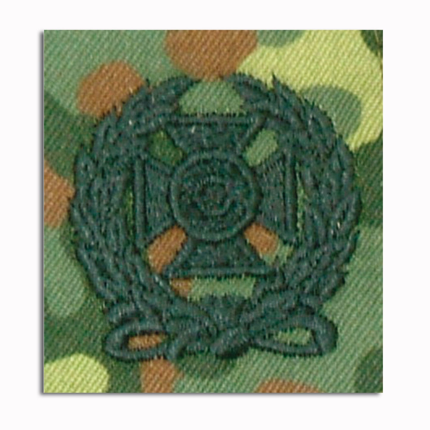 Experto estadounidense