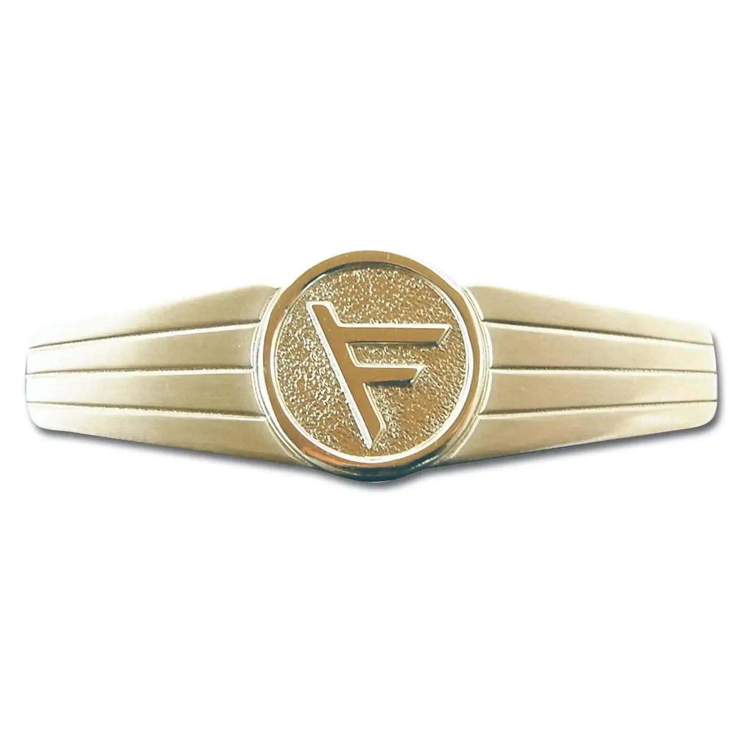 fritzsch-abzeichen-bw-fuehrungsdienstpersonal-metall-ansicht-2