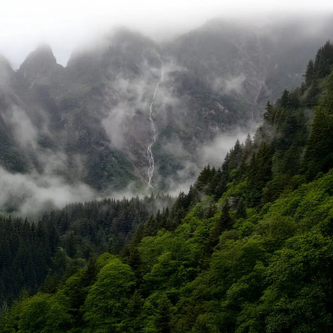 Ein stark bewaldeter Berg mit einem kleinen Wasserfall im Hintergrund.