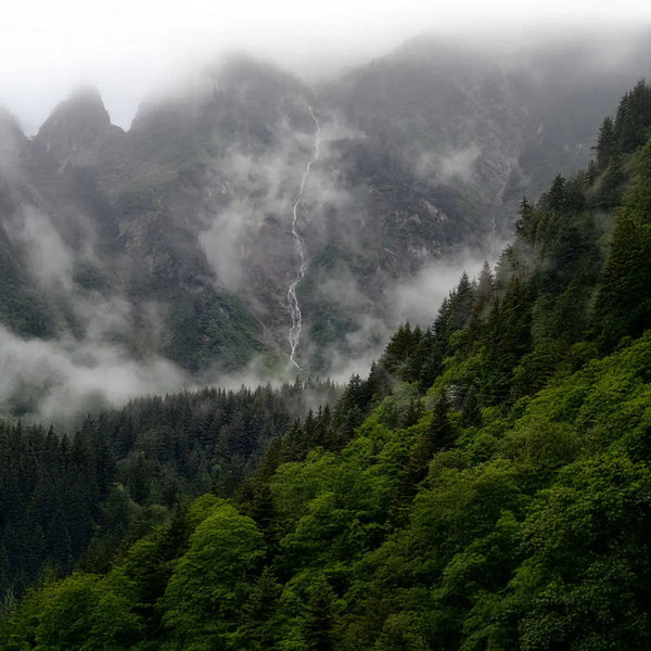 Waldiger Berg mit einem kleinen Wasserfall im Hintergrund.