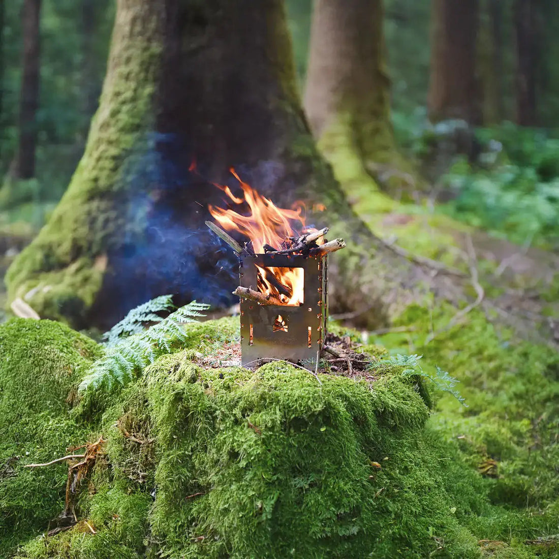 Hobo Kocher bei einem bewaldeten Gebiet auf einem moosigen Stumpf. 