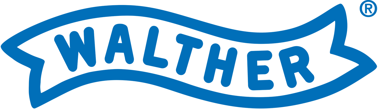 Walther - ASMC GmbH