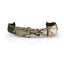Waist Belt/Flex Belt