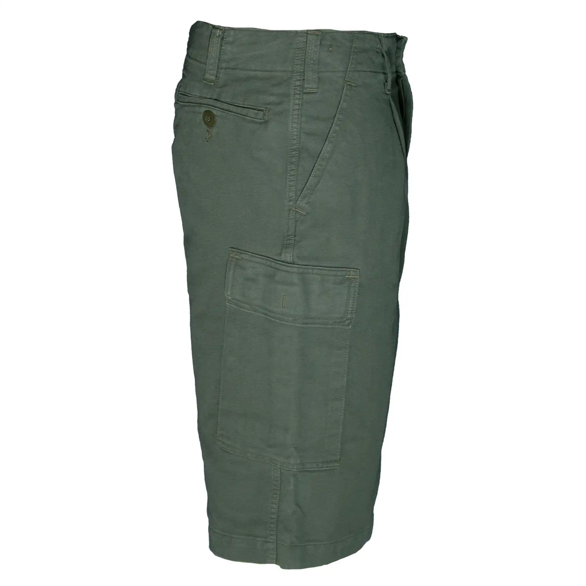 Shorts BW Bermuda moleskin lavato