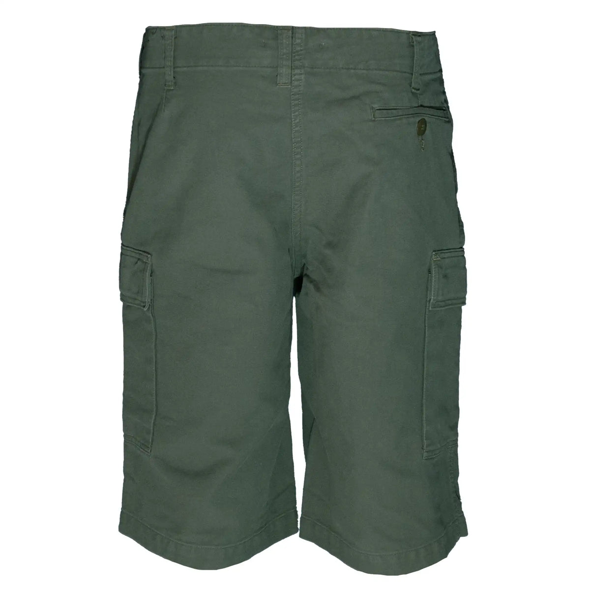 Shorts BW Bermuda moleskin lavato