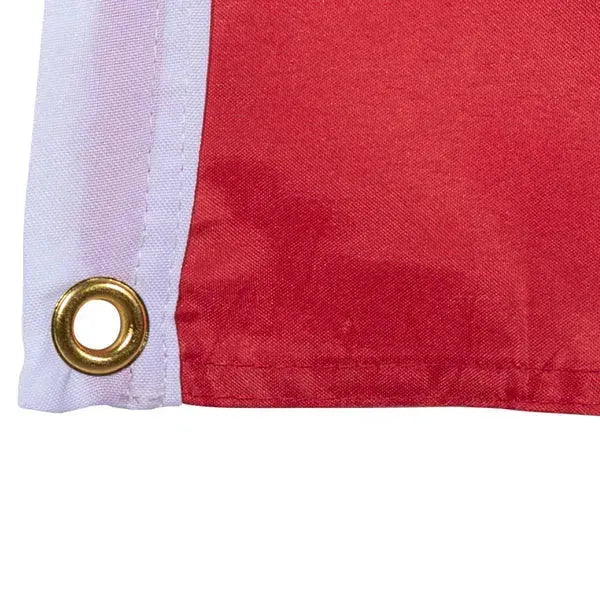 mfh-fahne-schweiz-120-x-120-cm-ansicht-3