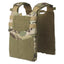 Plate carrier Guardian Plate Carrier