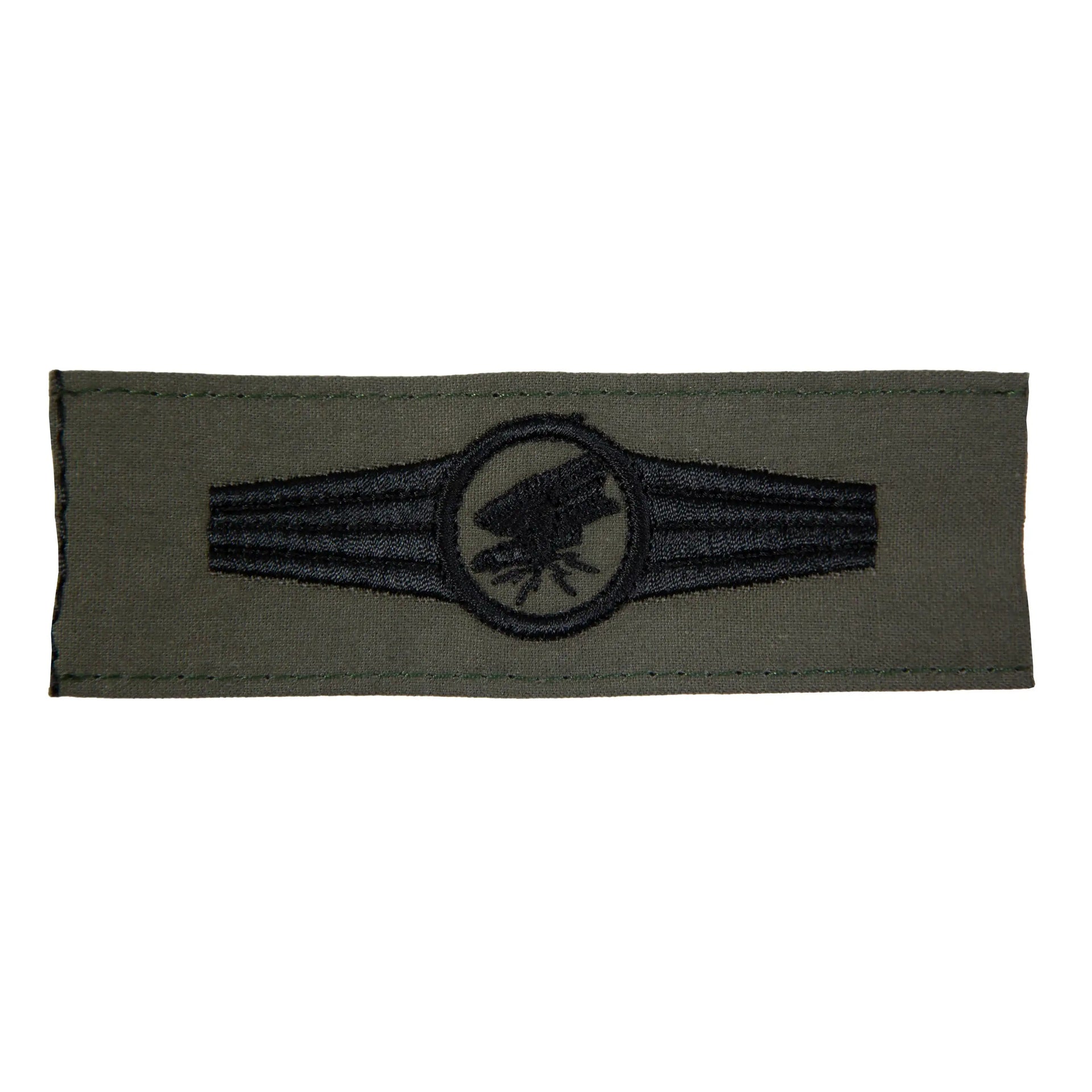 fritzsch-taetigkeitsabzeichen-personal-fernspaeheinsatz-ansicht-2