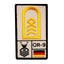 Parche de rango Oberstabsbootsmann