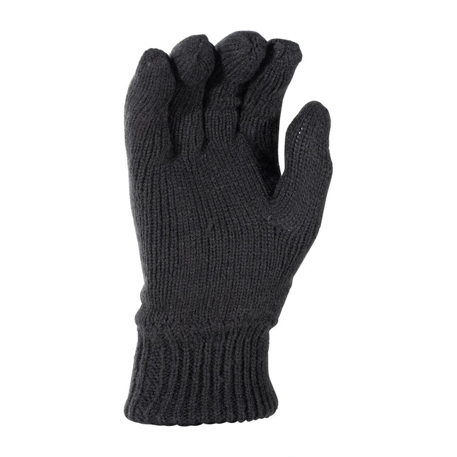 Gloves Pan Thinsulate