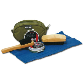 shoe cleaning kit