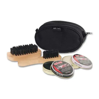 shoe cleaning kit
