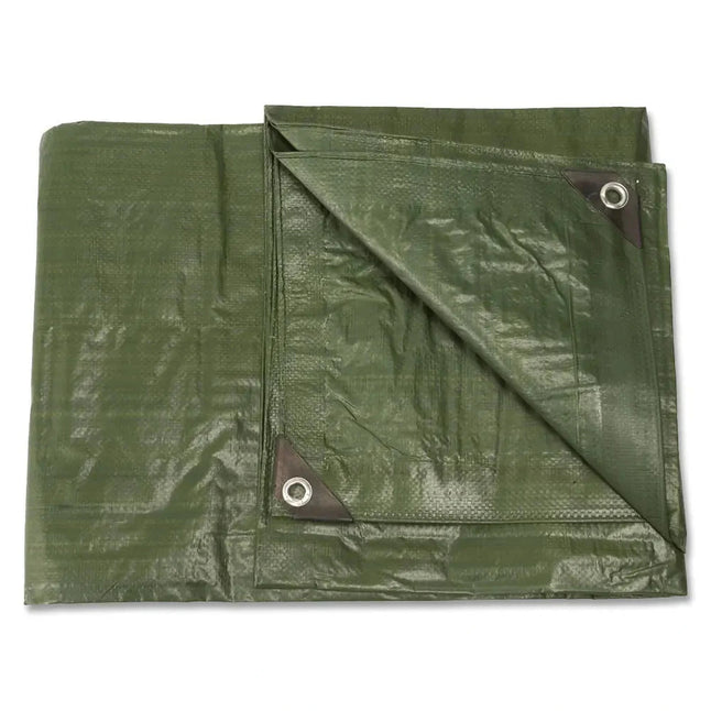 Tarpaulin PE 285 x 400 cm