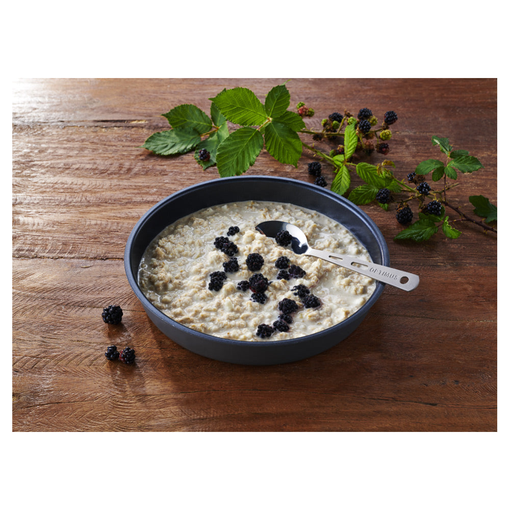 Trek'n Eat Protein Porridge