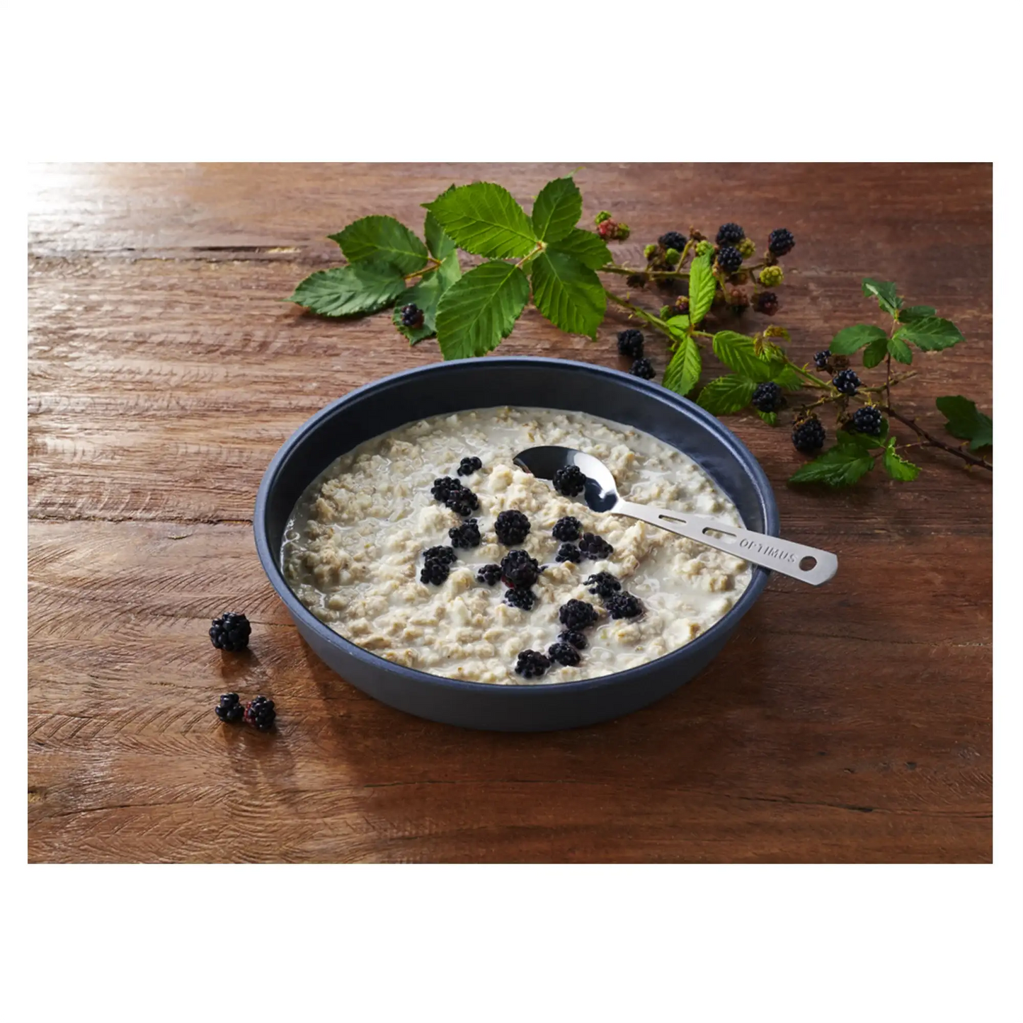 trek-n-eat-protein-porridge-ansicht-2