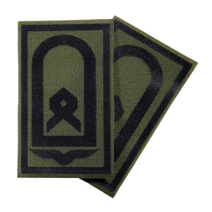 Hauptfeldwebel