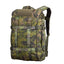 M05 Woodland