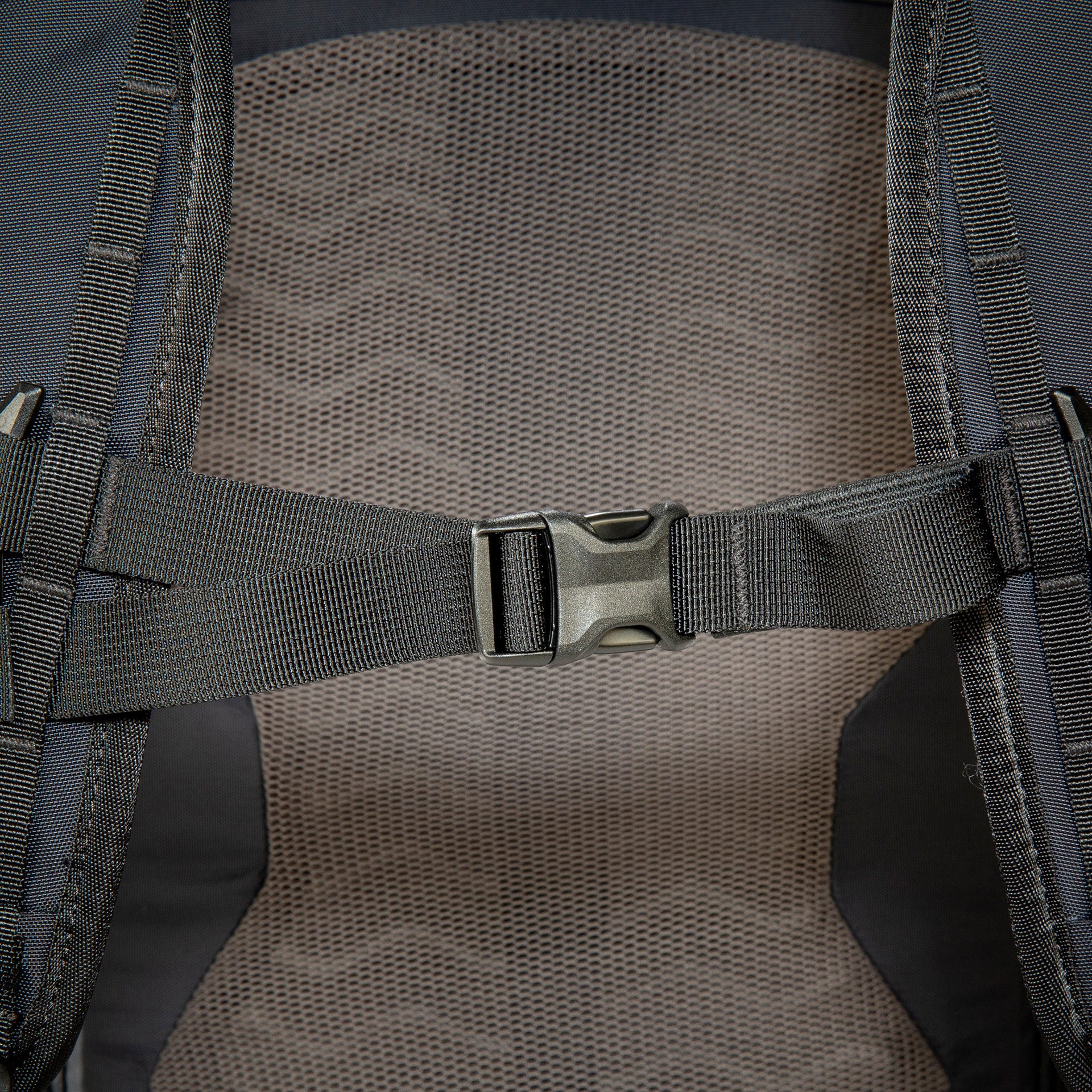 Daypack Rapid Rolltop 25 WP