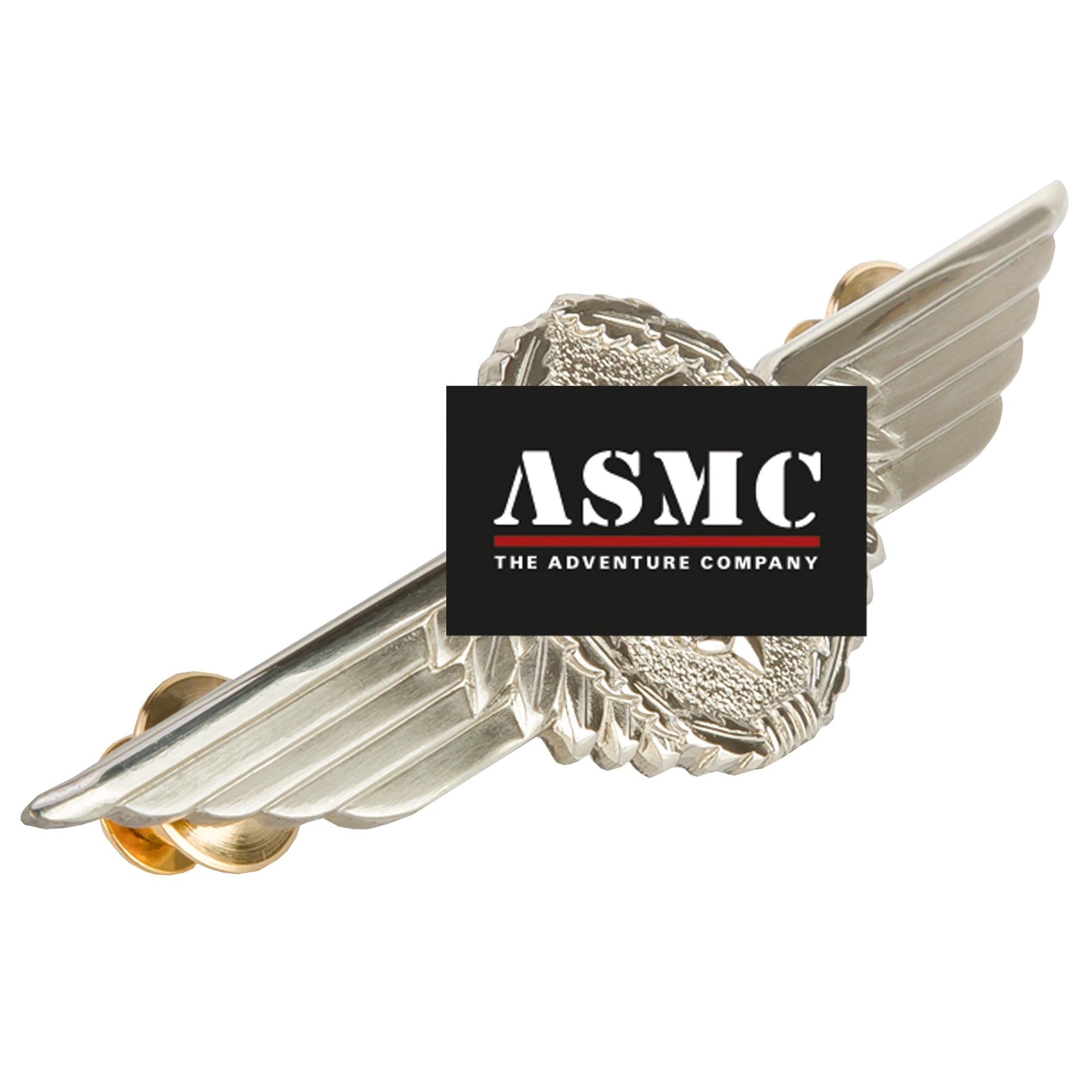 Insegna tedesca BW Pilot argento