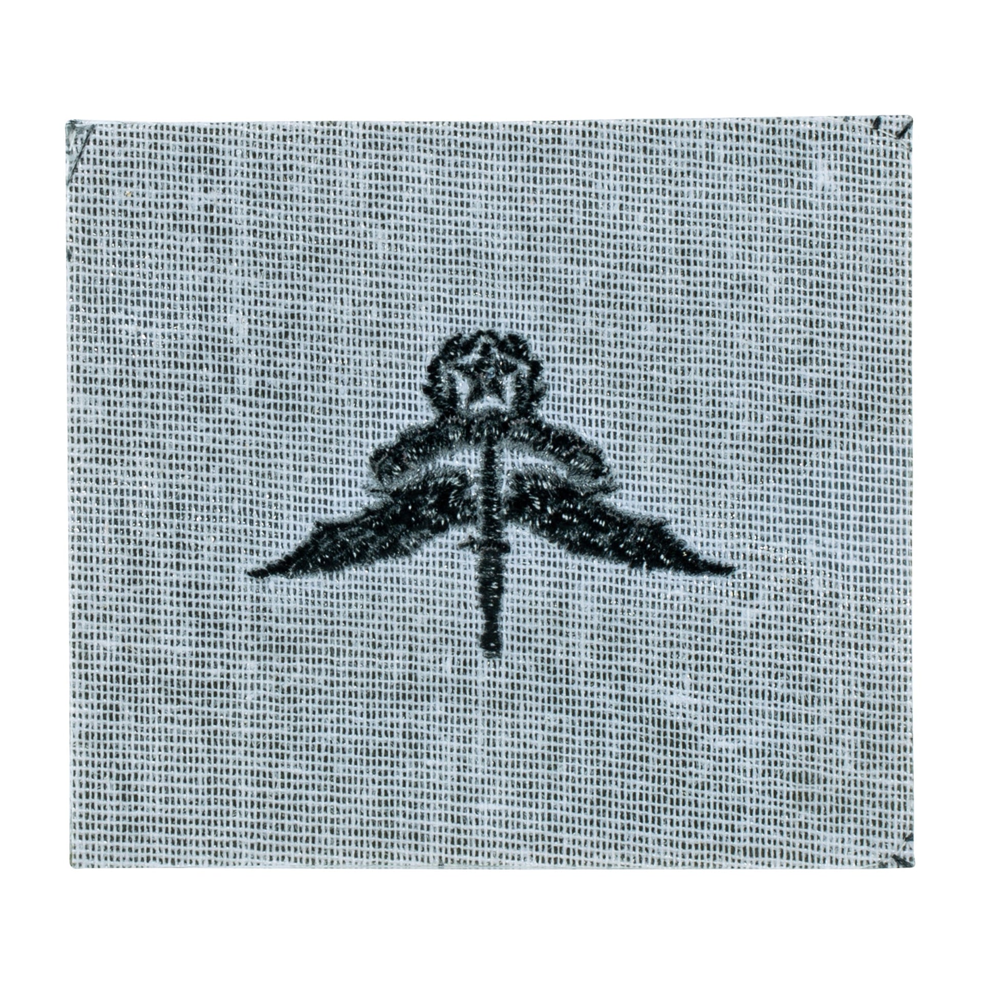 US Master Halo Parachutist