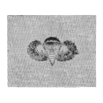 Abzeichen US Combat Para Textil