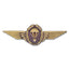 German insignia Airborne Personnel bronze