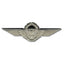 German insignia Airborne Personnel bronze