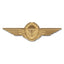 German insignia Airborne Personnel bronze