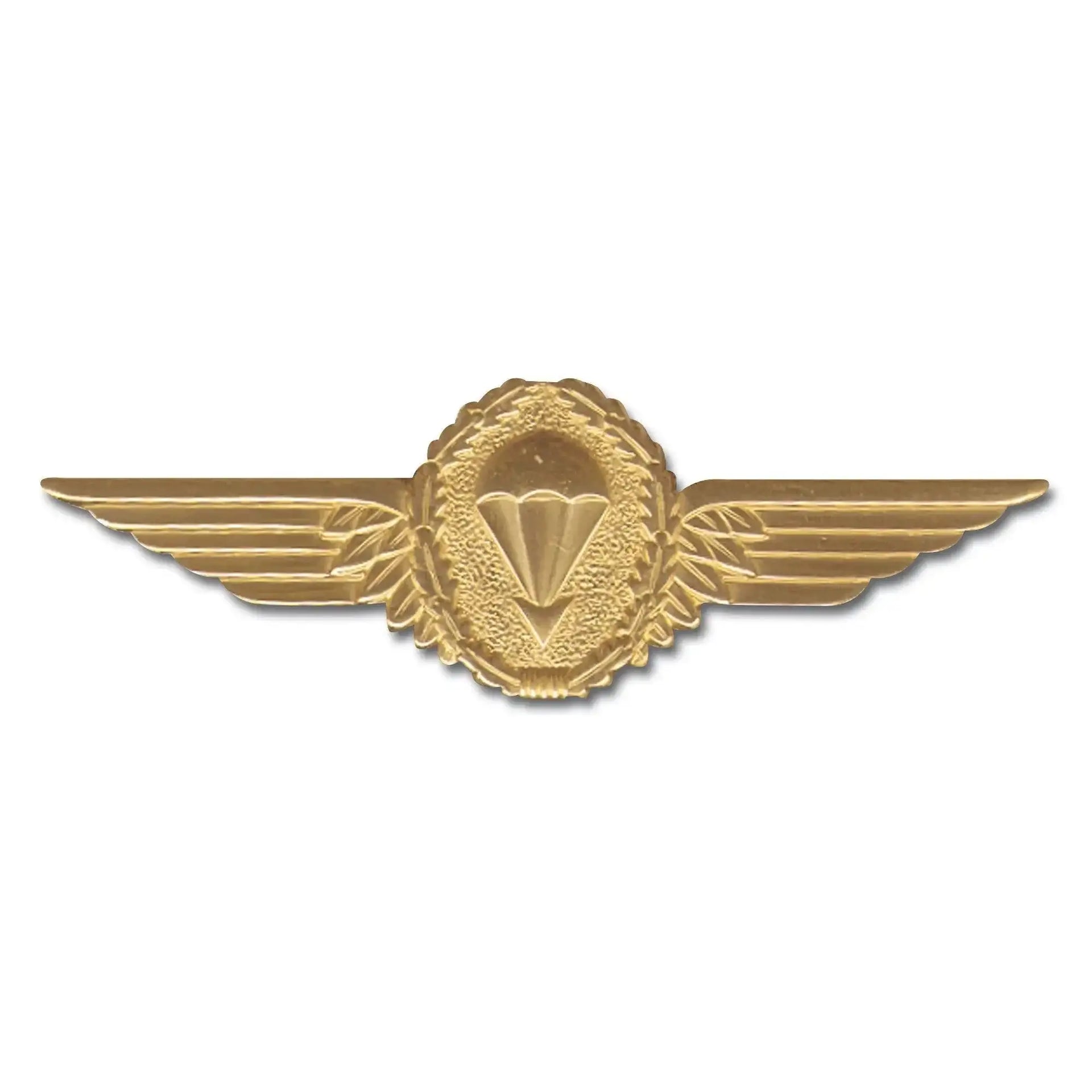 fritzsch-abzeichen-bw-fallschirmspringer-ansicht-3