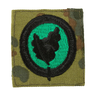 Badge BW Individual Combatant