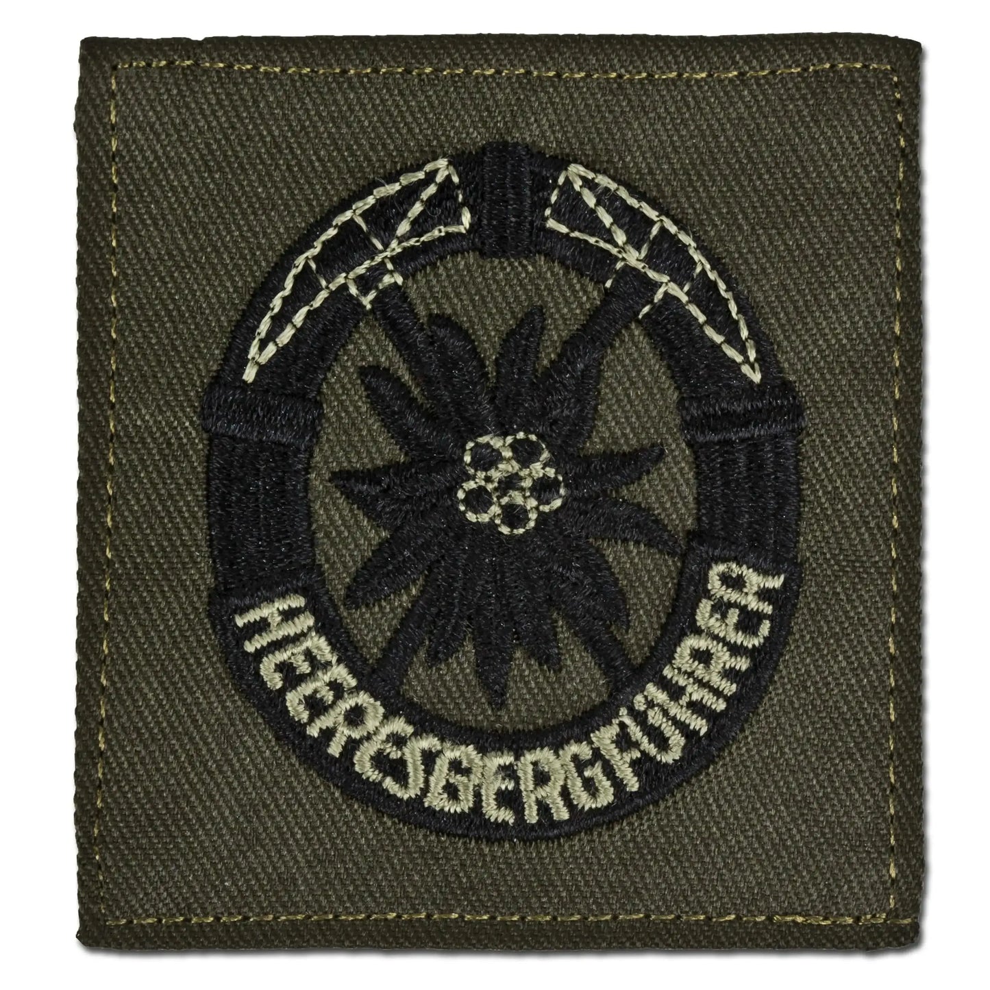 fritzsch-abzeichen-bw-heeresbergfuehrer-ansicht-2