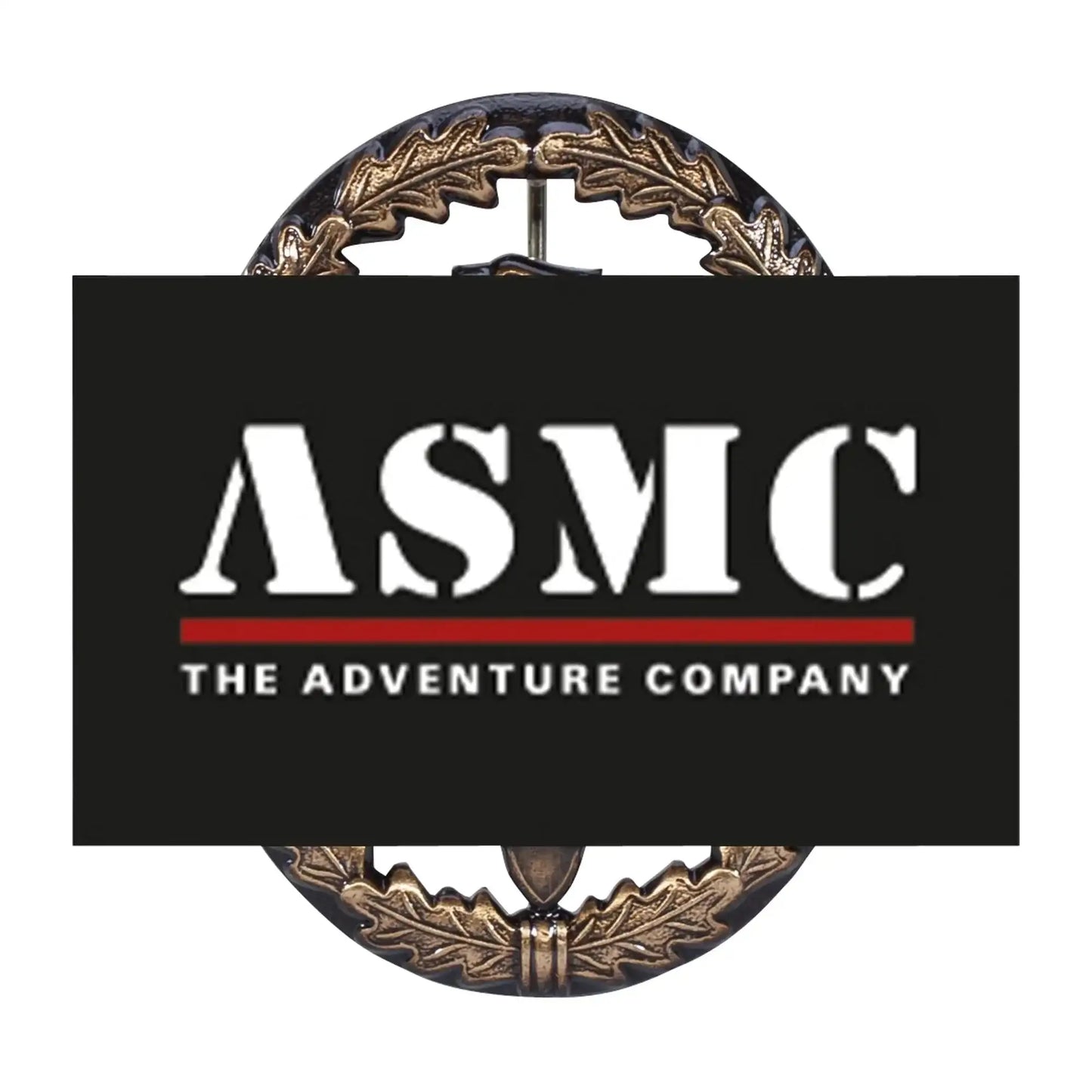 fritzsch-leistungsabzeichen-bw-metall-ansicht-1