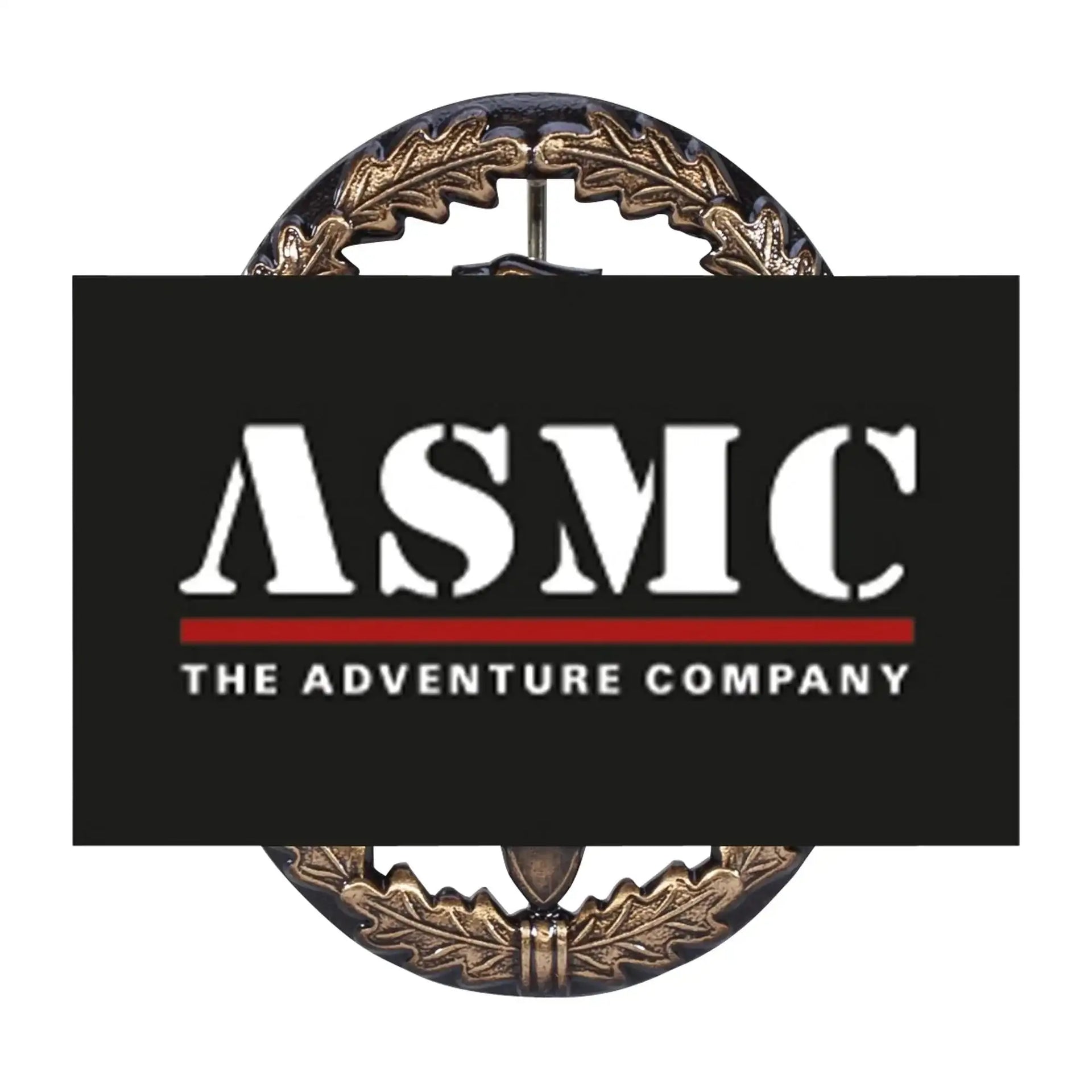 fritzsch-leistungsabzeichen-bw-metall-ansicht-1