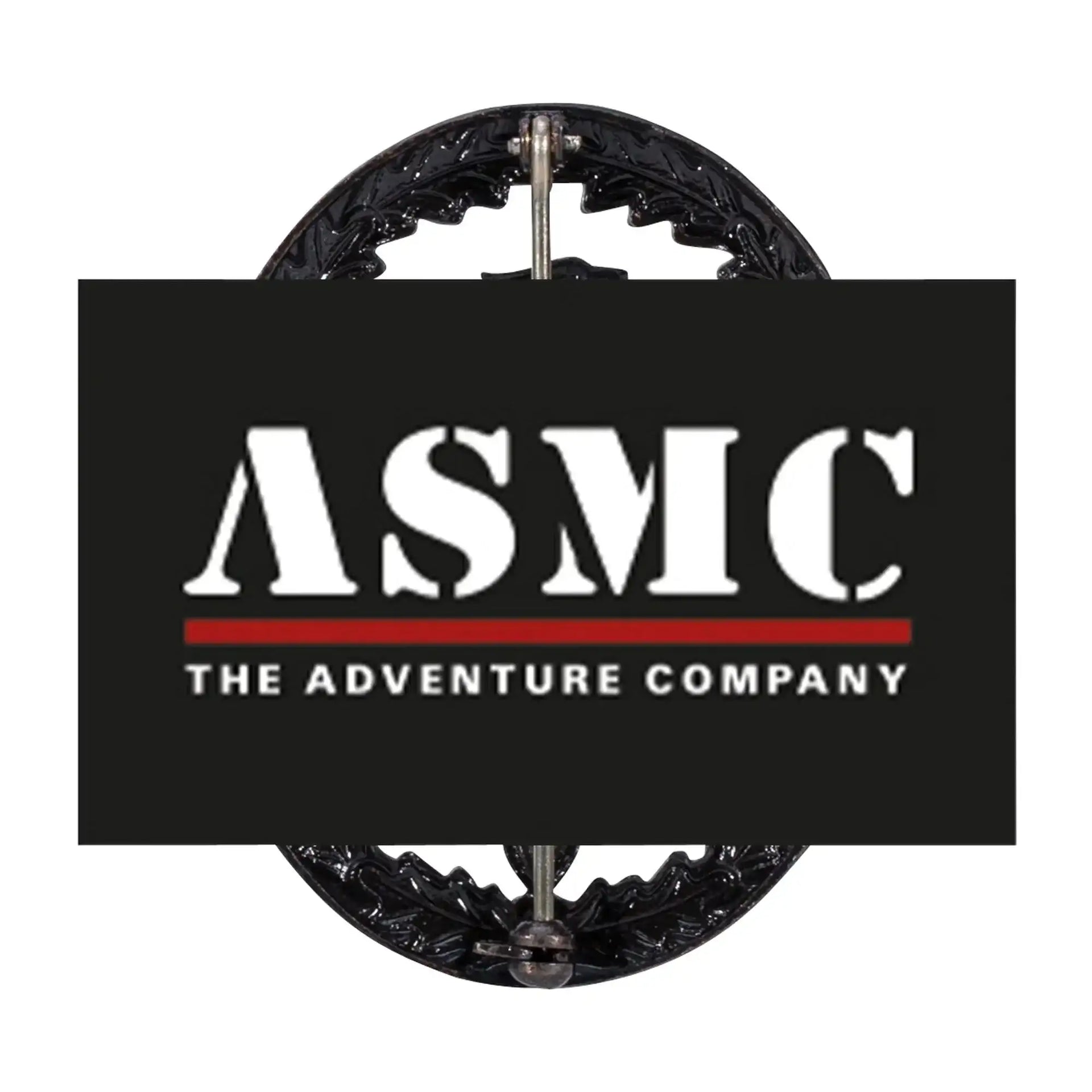 fritzsch-leistungsabzeichen-bw-metall-ansicht-2