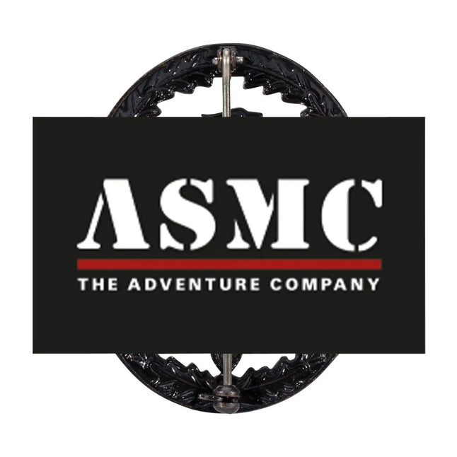 fritzsch-leistungsabzeichen-bw-metall-ansicht-2