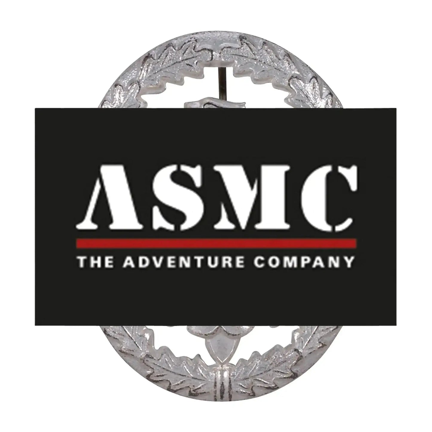 fritzsch-leistungsabzeichen-bw-metall-ansicht-4