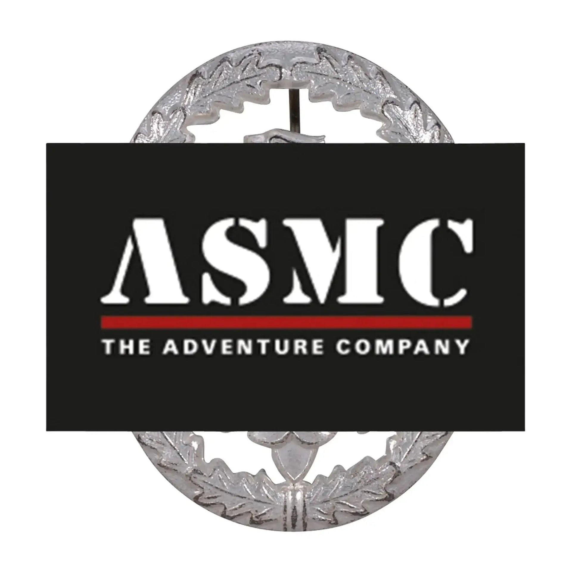 fritzsch-leistungsabzeichen-bw-metall-ansicht-4