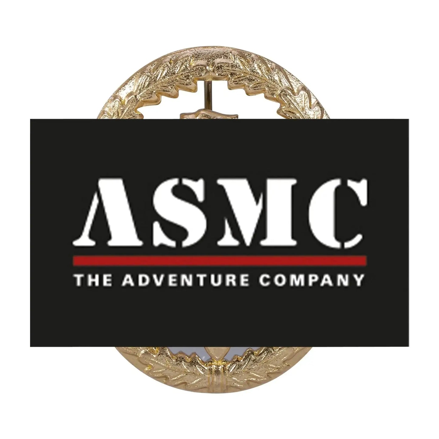 fritzsch-leistungsabzeichen-bw-metall-ansicht-3