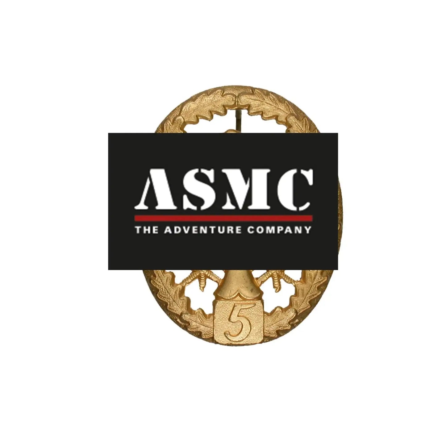 fritzsch-leistungsabzeichen-bw-metall-ansicht-5