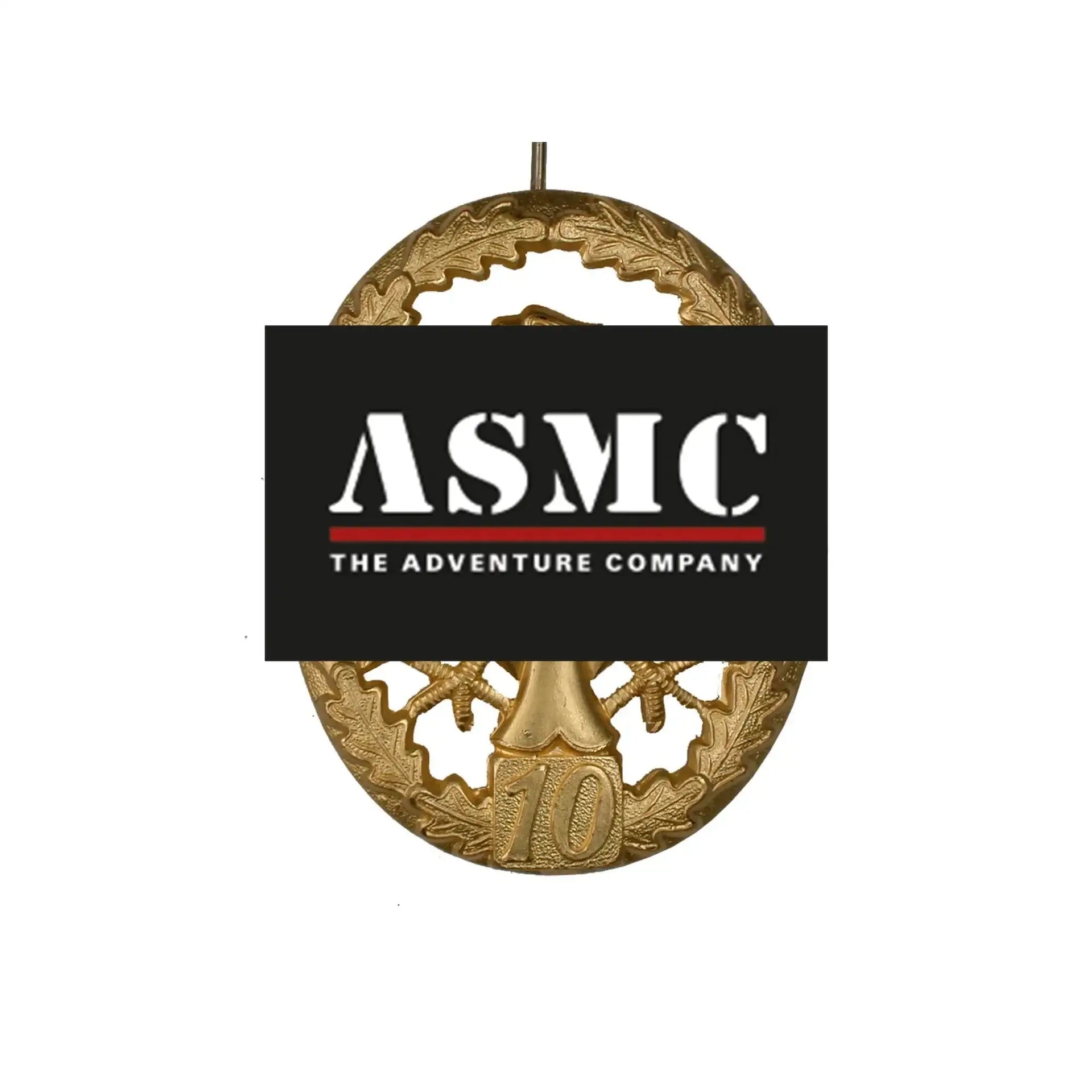 fritzsch-leistungsabzeichen-bw-metall-ansicht-6