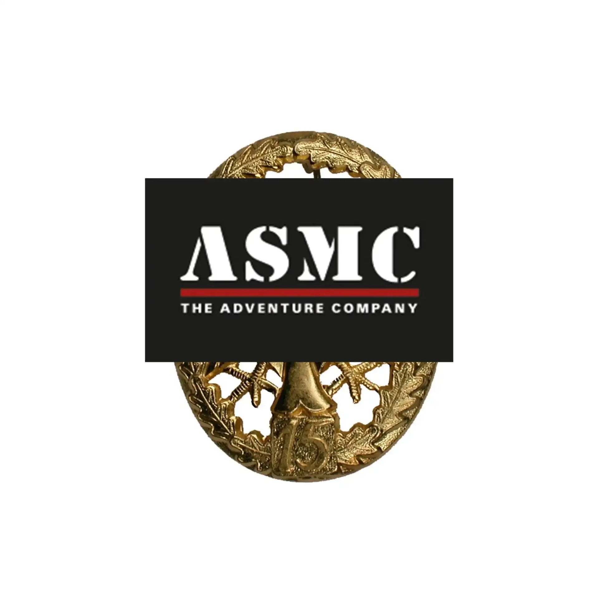 fritzsch-leistungsabzeichen-bw-metall-ansicht-7