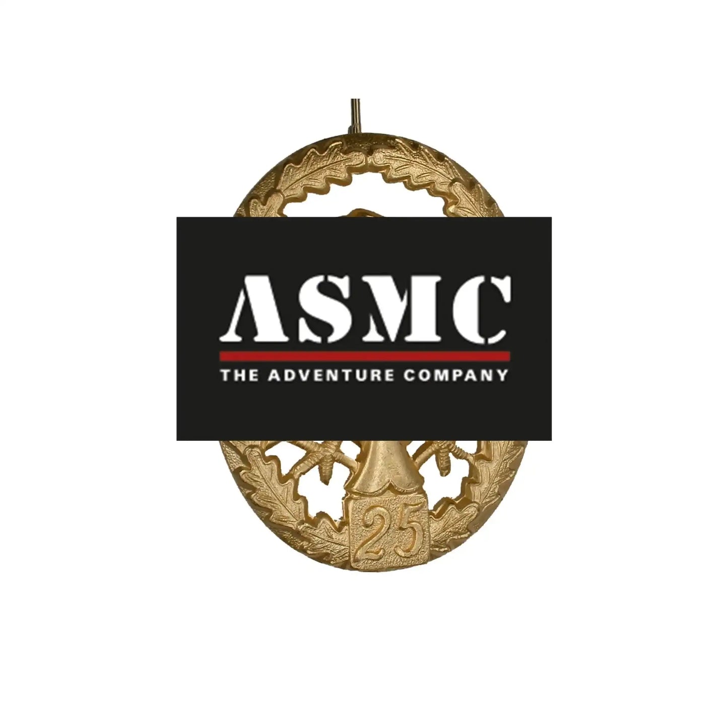 fritzsch-leistungsabzeichen-bw-metall-ansicht-9