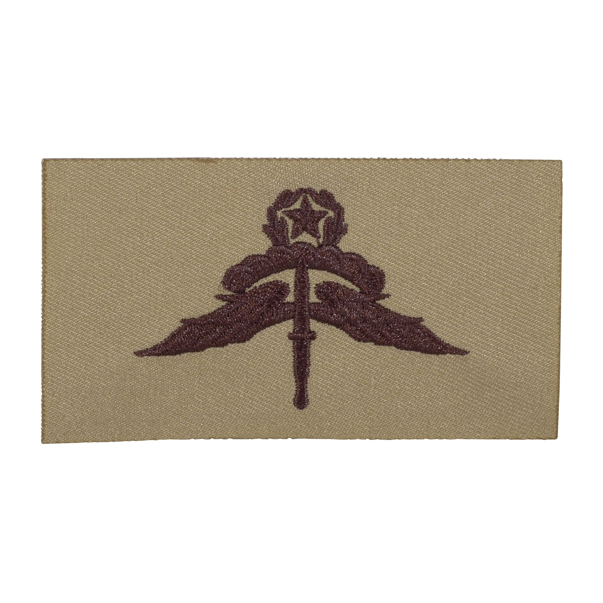 US Master Halo Parachutist