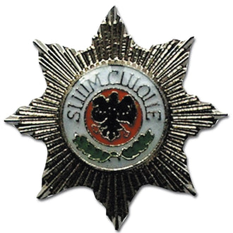 Pin mini insignia metálica Feldjäger