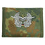 Aeronautica