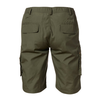 Shorts Finnveden Wildmark green
