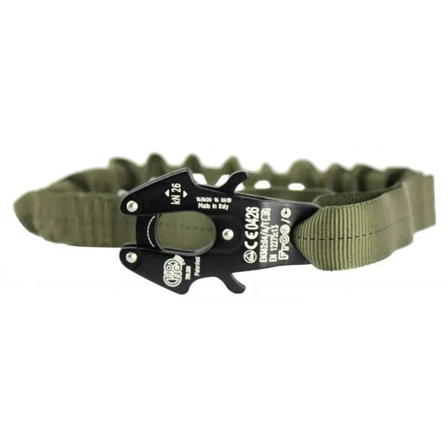 Lanyard Frog