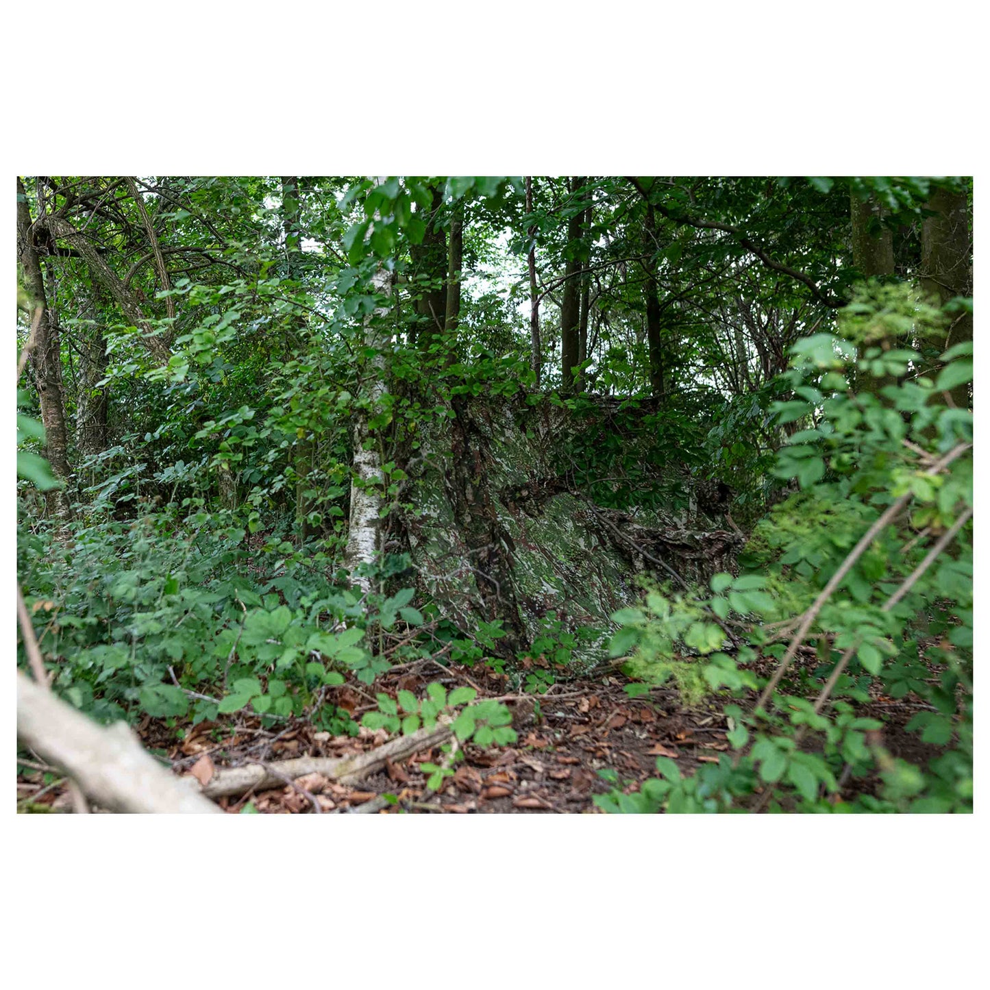 Rete mimetica Recon Net concamo verde